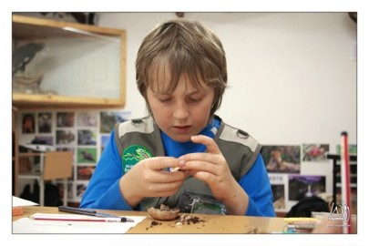 Tobias examining a mushroom