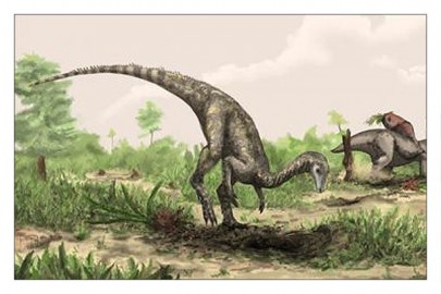 Nyasasaurus parringtoni