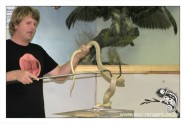 Francois handling a Cape Cobra