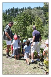 Learning from nature