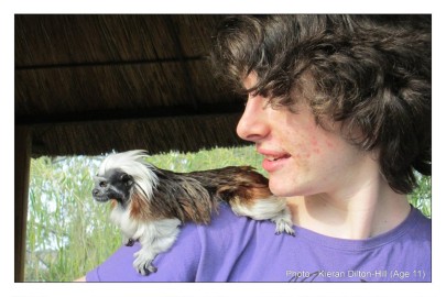 One friendly marmoset