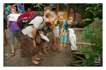 Chatting to an Umbrella Cockatoo