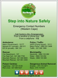 Emergency Card