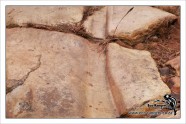 wagon-wheel-grooves-in-sandstone-rock